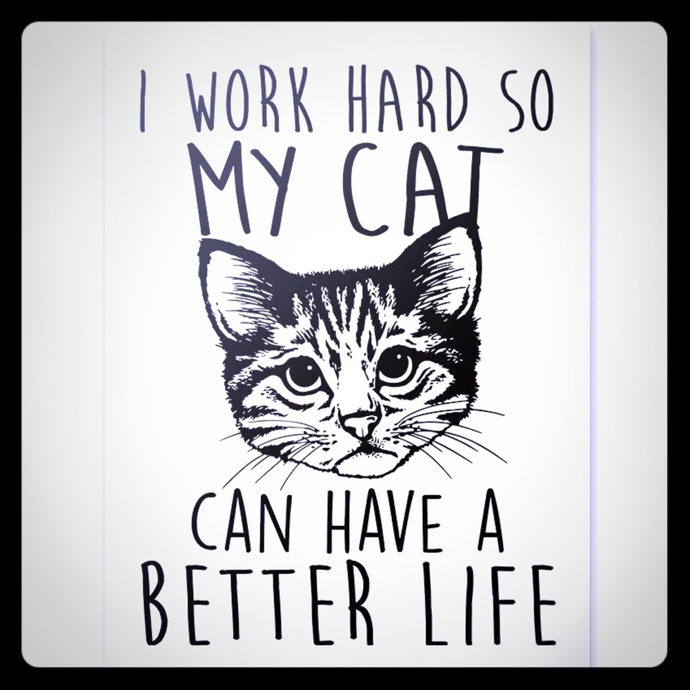 🐾 I work hard so my cats can have a good life! 🐾